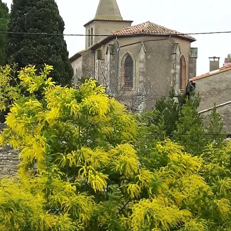 La Vigne Des Claires * Saint-Nazaire-d'Aude