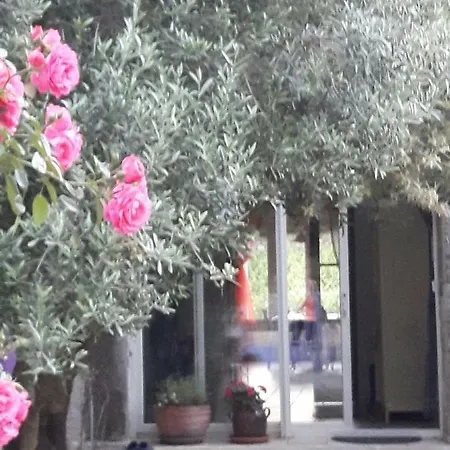 La Vigne Des Claires Bed & Breakfast *