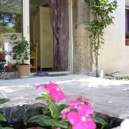 La Vigne Des Claires Bed & Breakfast *