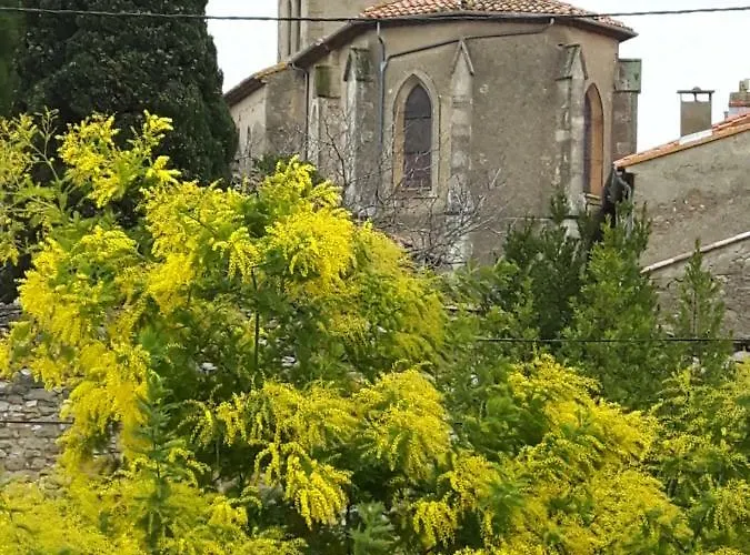 La Vigne Des Claires 3* Saint-Nazaire-d'Aude