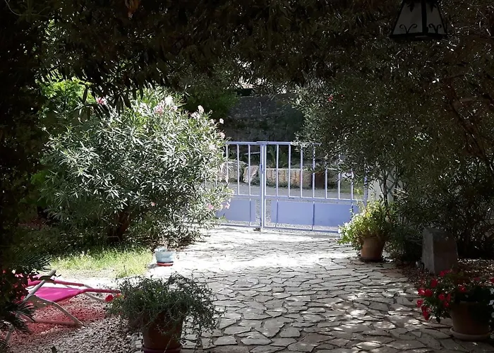 La Vigne Des Claires