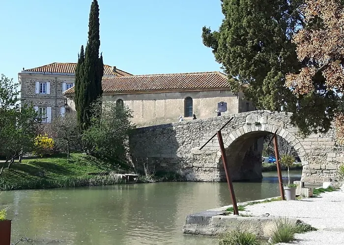 La Vigne Des Claires